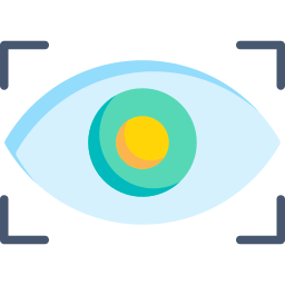 Vision Icon